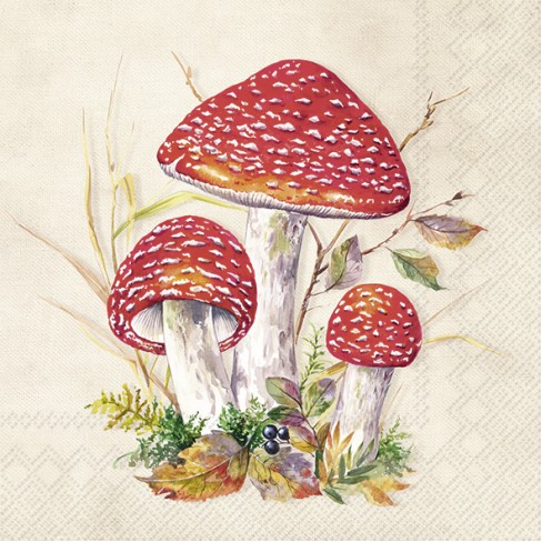 Коктейлни салфетки 20бр Toad екрю